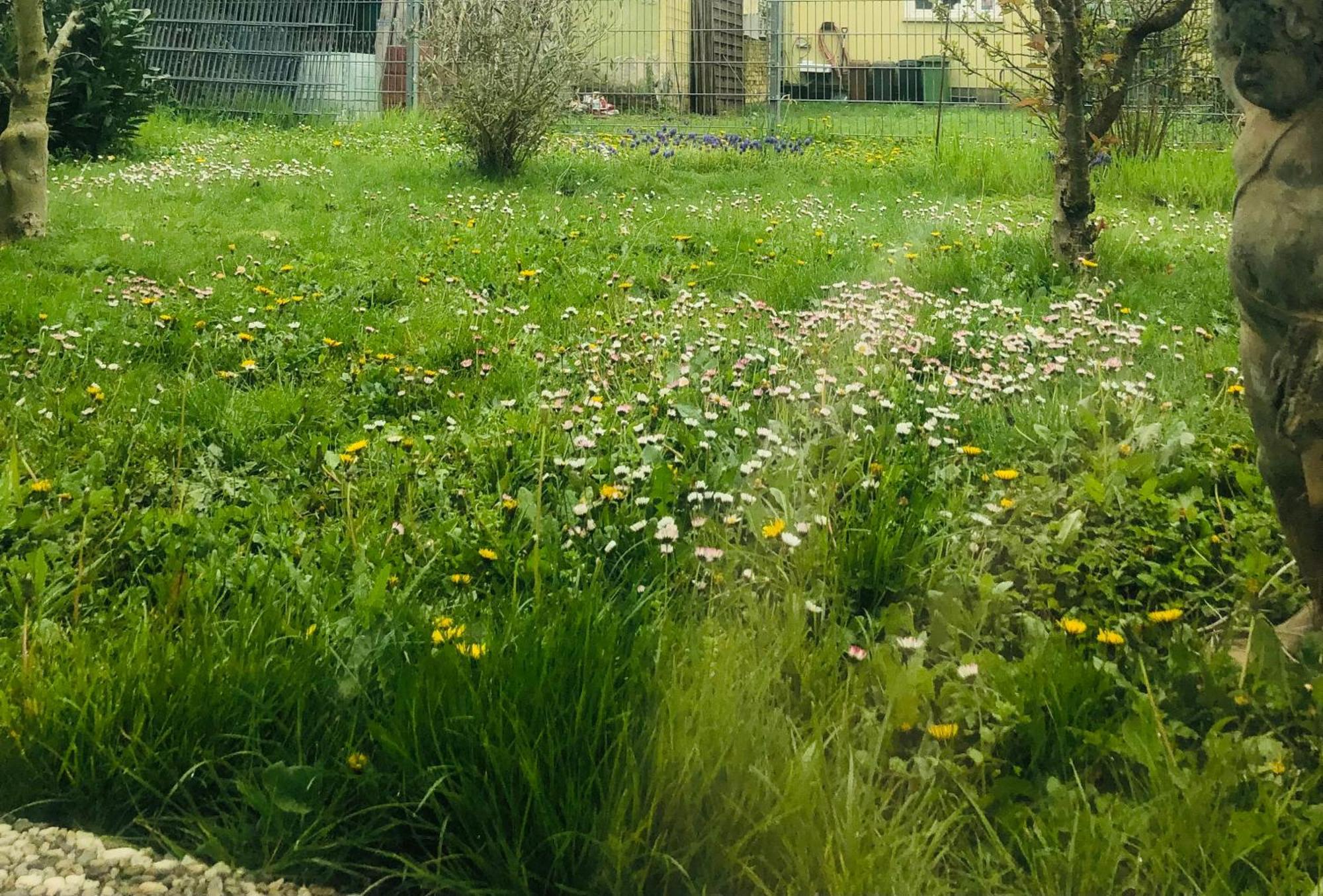 Ferienwohnung Feldmann Freckenfeld Exteriör bild